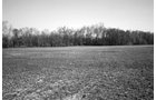 Property photo 7 - 641 Acres Offered in 16 Tracts - 545 Cropland Acres